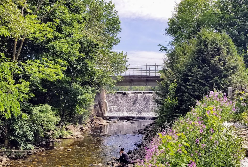 Holstein Dam and Jubilee Park | Holstein, ON N0G 2A0, Canada