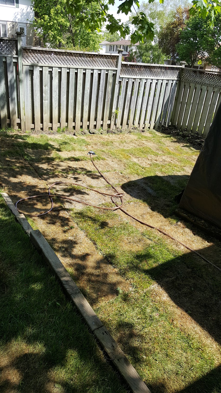 Vissers Sod Farm | 5495 Enfield Rd, Hampton, ON L0B 1J0, Canada | Phone: (905) 263-2126