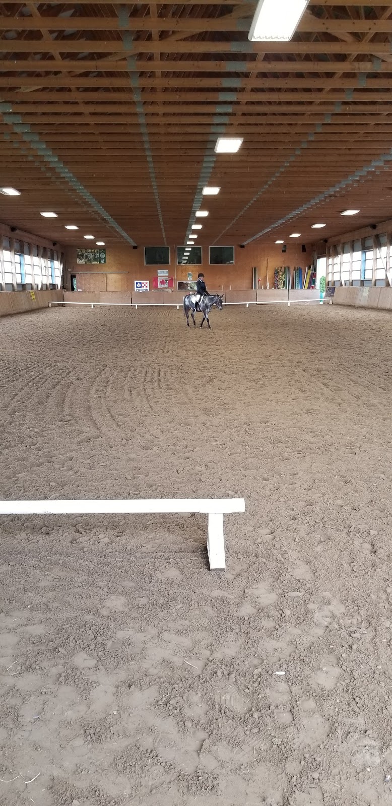 Sprucehaven Farm | 343279 Ebenezer Rd, Mount Elgin, ON N0J 1N0, Canada | Phone: (519) 318-2722