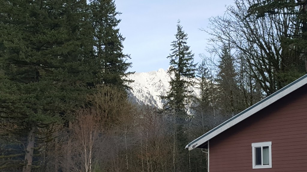 Dislodge At Mt Baker | 9753 Mt Baker Hwy, Deming, WA 98244, USA | Phone: (360) 599-1852