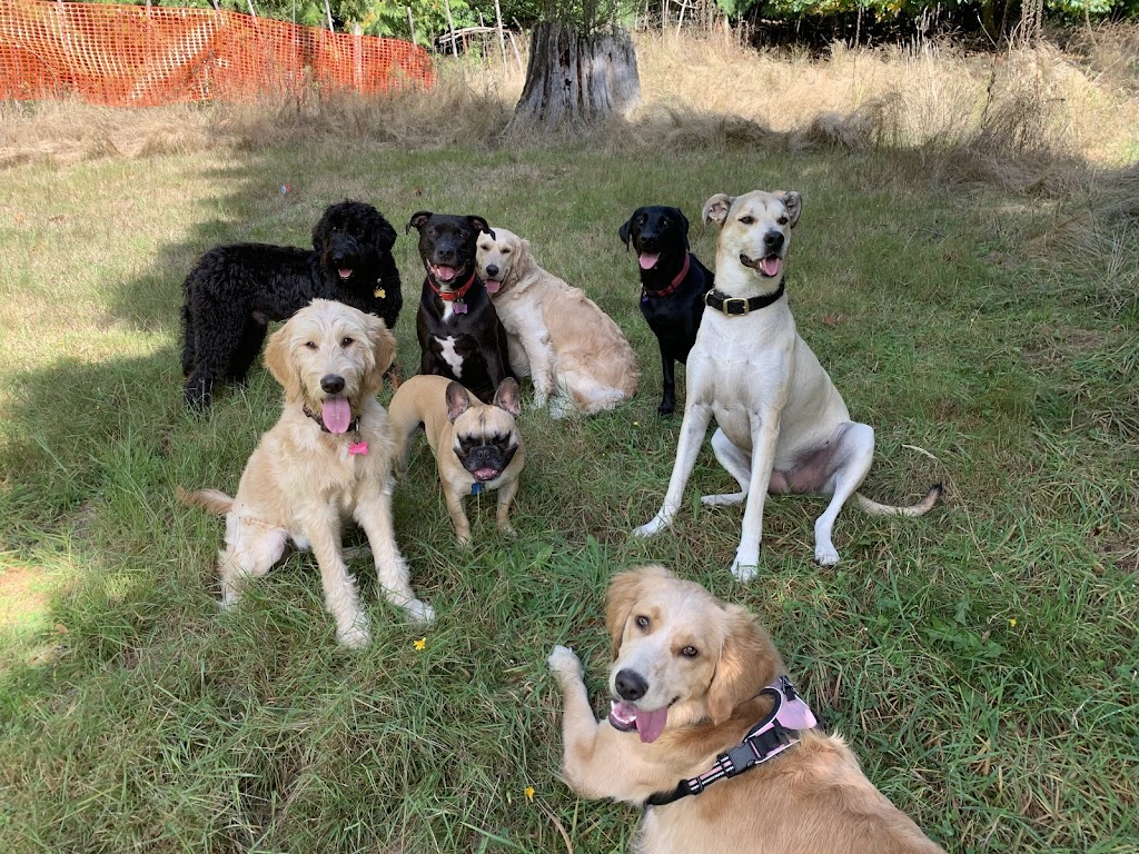 Just Like Home Pet Care | W Saanich Rd, Victoria, BC V9E 2G1, Canada | Phone: (250) 634-1404