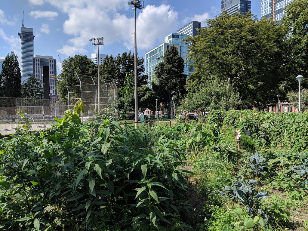 Fred Victor Community Garden | 151 Shuter St #97, Toronto, ON M5A 2R6, Canada | Phone: (416) 364-8228