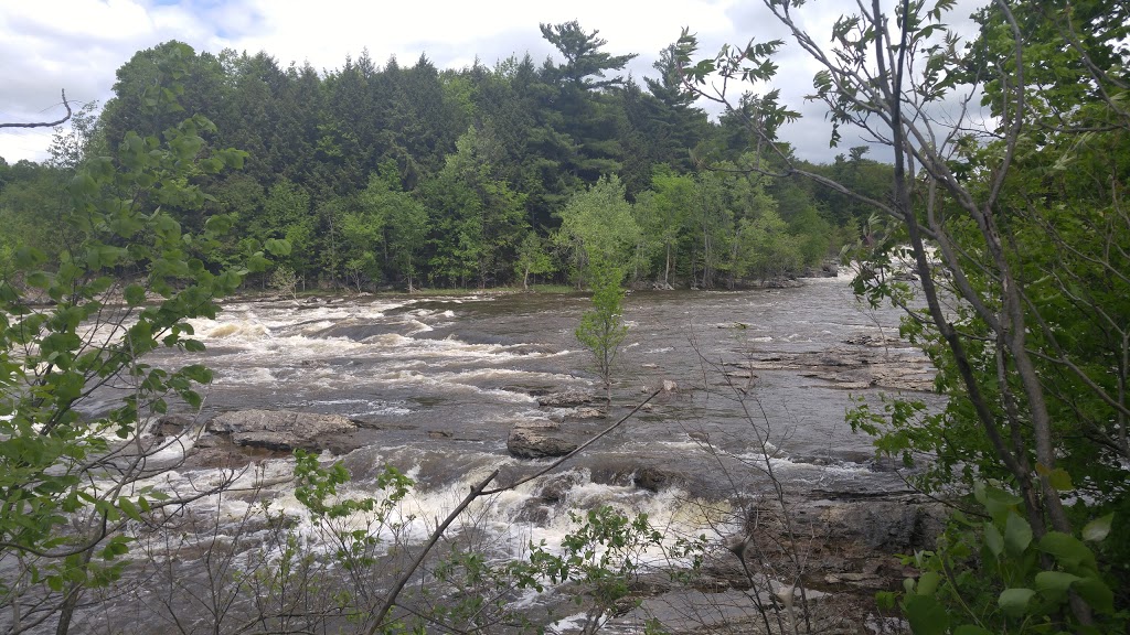Parc Armand « Daddy » Lacelle | 833 Chemin de Masson, Gatineau, QC J8M 1A3, Canada