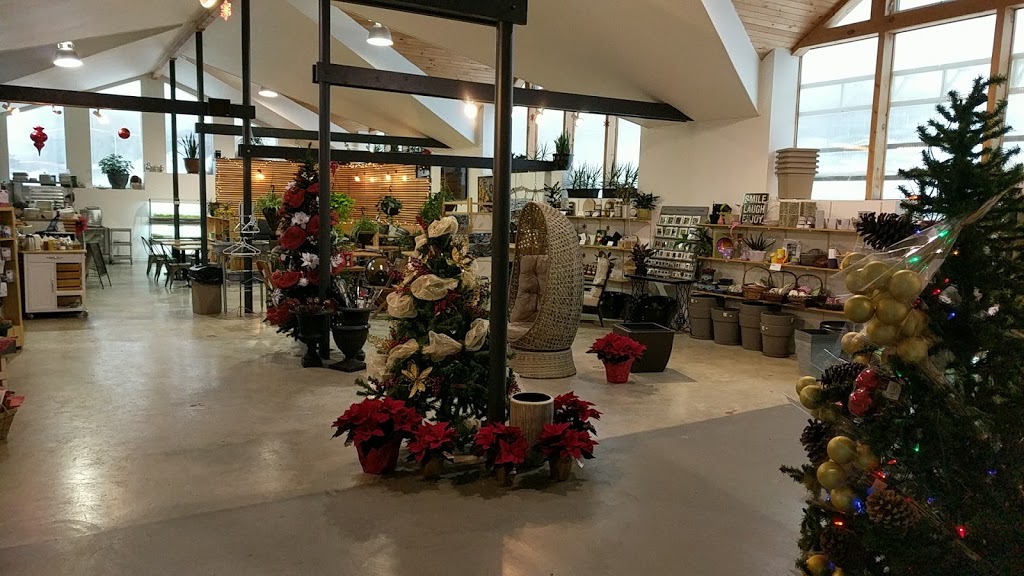 Murrays Garden Centre | 1501 Portugal Cove Rd, Portugal Cove-St. Philips, NL A1M 3P2, Canada | Phone: (709) 895-2800
