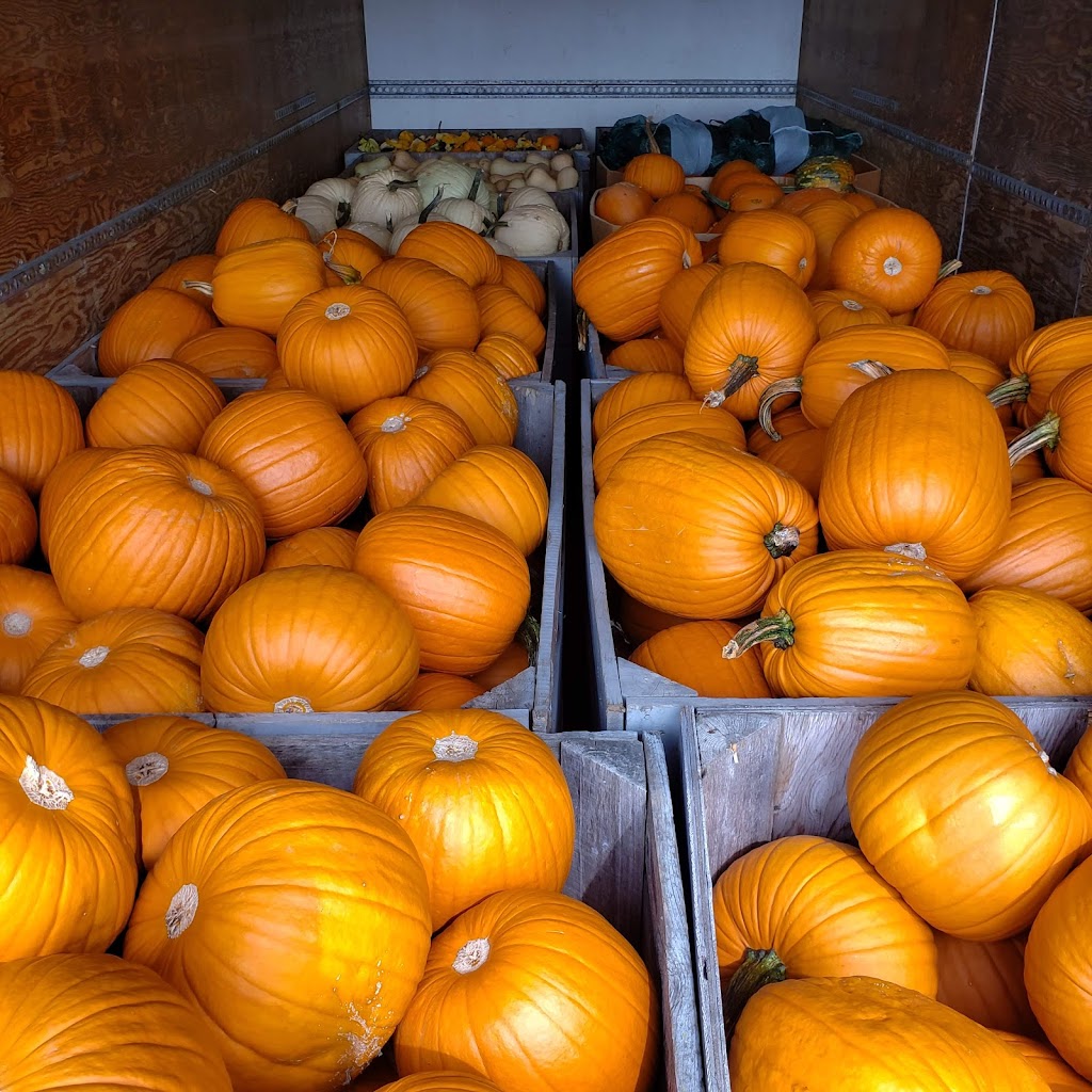 DeLong Farms | 312 Barss Corner Rd, New Germany, NS B0R 1E0, Canada | Phone: (800) 565-1230