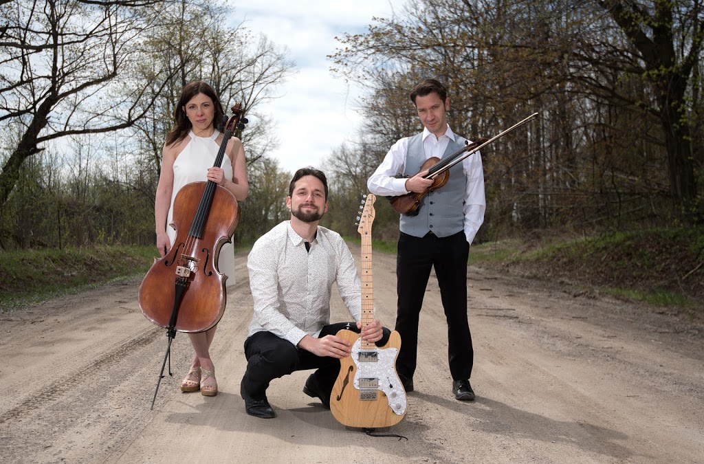 Wellington Music Co. and The Guitar Guys | 17 Vistaview Blvd, Thornhill, ON L4J 2A5, Canada | Phone: (416) 410-5365