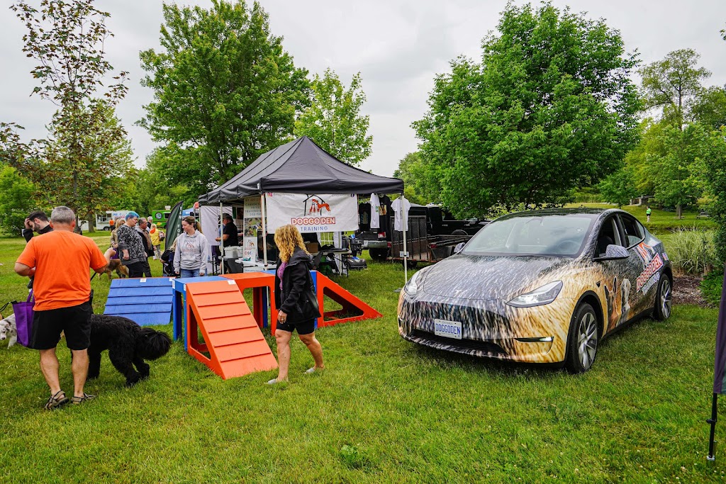 Doggo Den | 20170 Fairview Rd, Thorndale, ON N0M 2P0, Canada | Phone: (647) 774-4997