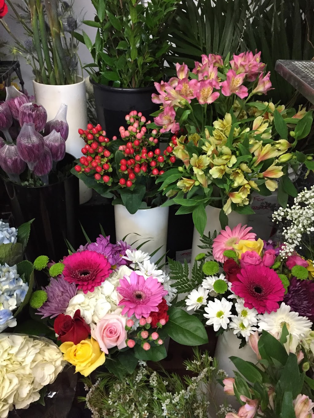 Hazeldean Florist | 455 Hazeldean Rd, Kanata, ON K2L 1V1, Canada | Phone: (613) 831-8529