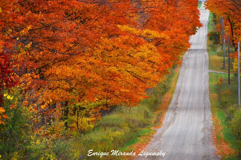 Enrique Photo Art | 23 Brouwer Crescent, Wasaga Beach, ON L9Z 1L8, Canada | Phone: (705) 422-1658