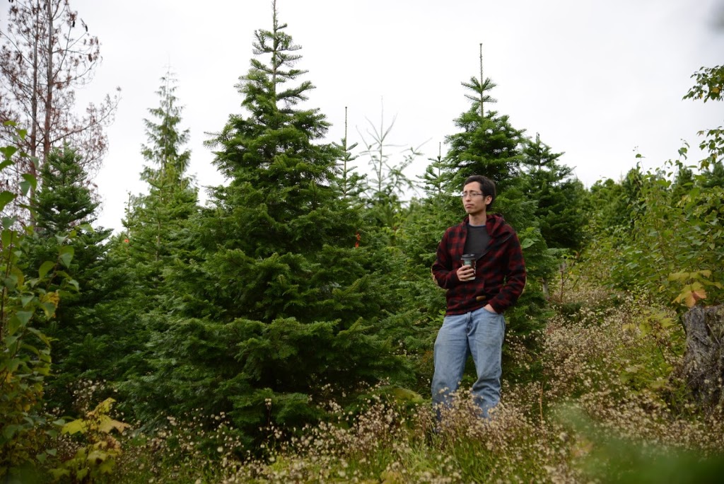 Happy Holidays Christmas Tree Co. | 1040 Marwood Ave, Victoria, BC V9C 2P6, Canada | Phone: (250) 661-8464