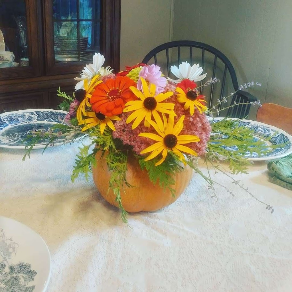 Maple Haven Farm | 54710 Heritage Line, Straffordville, ON N0J 1Y0, Canada | Phone: (519) 877-9066
