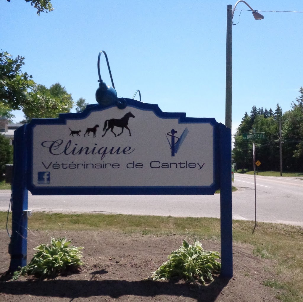Clinique Vétérinaire de Cantley | 1 Rue de Bouchette, Cantley, QC J8V 3H9, Canada | Phone: (819) 607-6070
