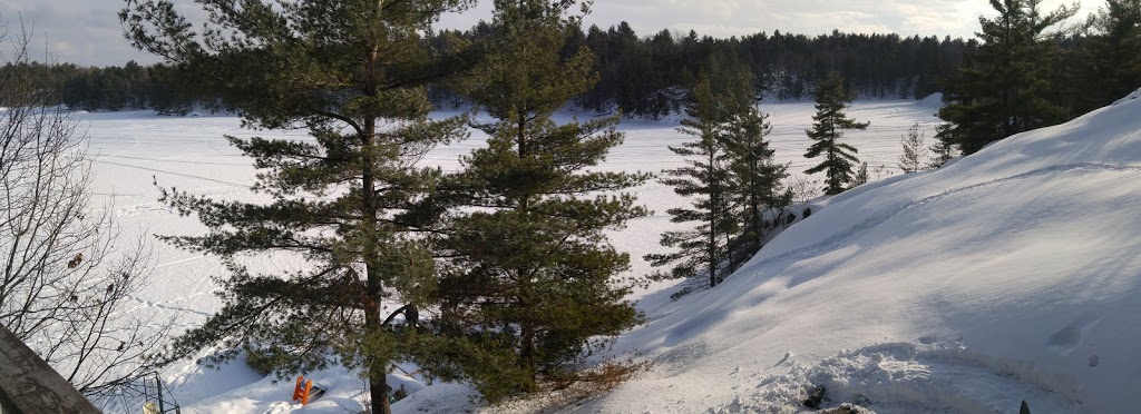 Ingram Cottages | 501 Go Home Lake Rd, MacTier, ON P0C 1H0, Canada | Phone: (905) 842-9841