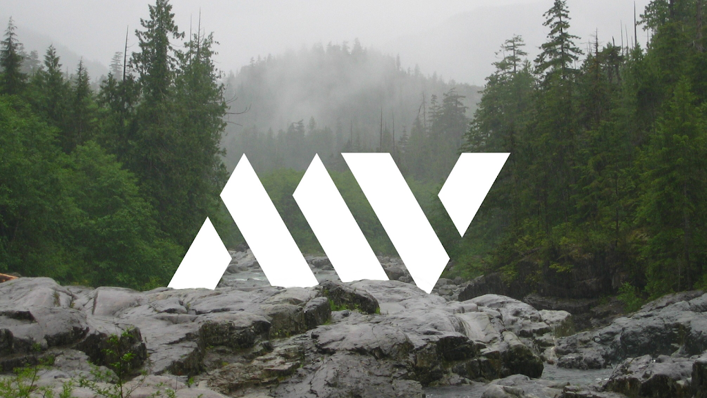 Mass Velocity Media | 227 Beechwood Ave, Victoria, BC V8S 3W6, Canada | Phone: (778) 587-7190