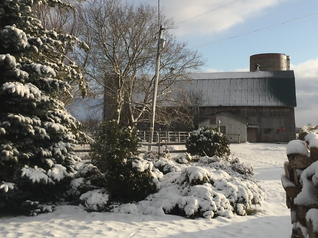 Little Creek Farm & Sanctuary | 7372 Snake Island Rd, Greely, ON K4P 1N2, Canada | Phone: (613) 913-3158
