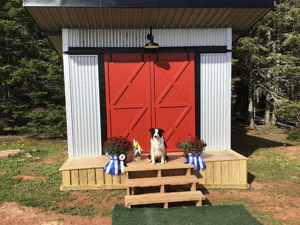 For the Love of Dog! Agility Training and Event Centre | 1638 PE-19, Prince Edward Island C0A 1H6, Canada | Phone: (902) 316-0219