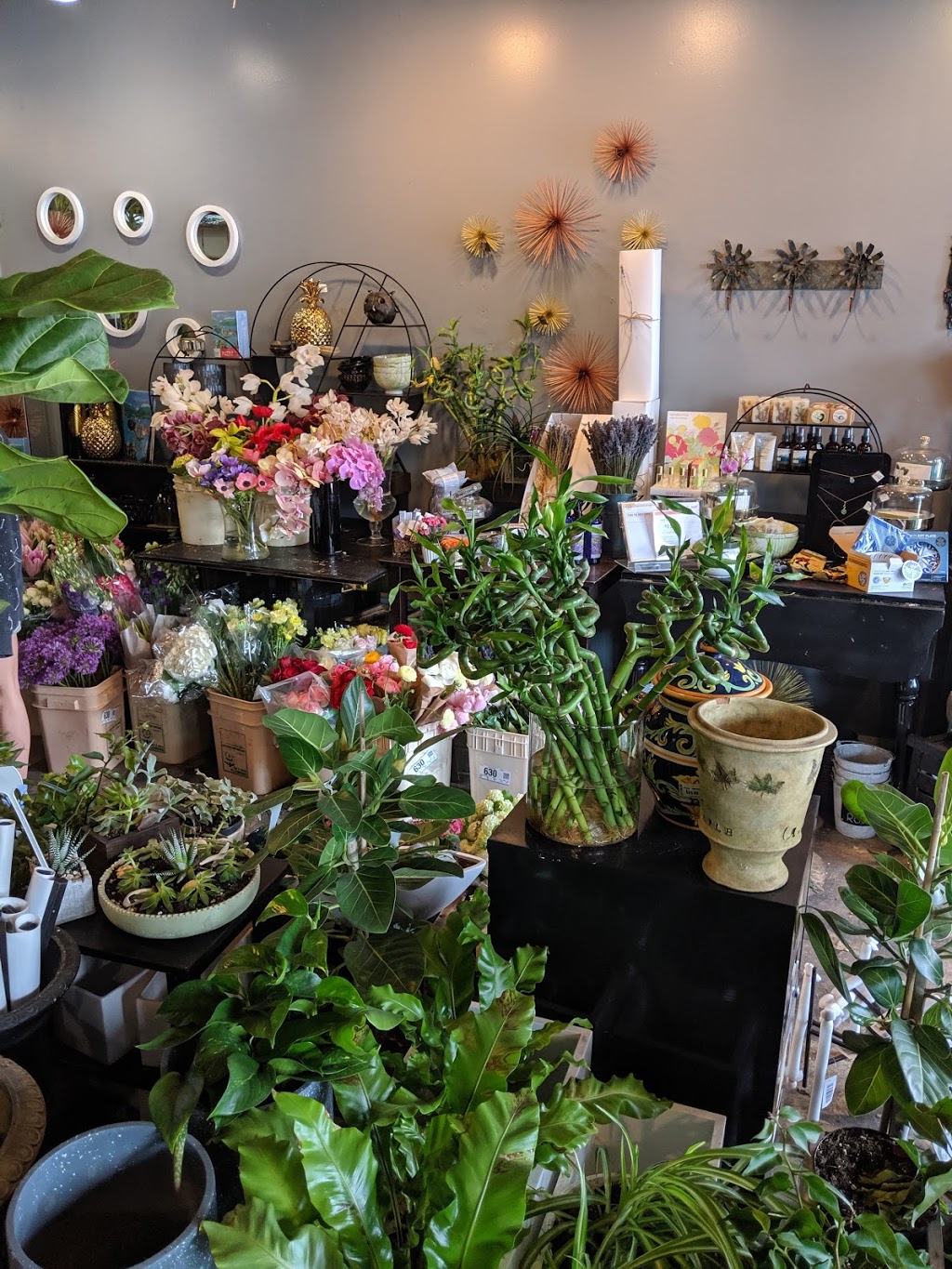The Bloomerie | 2793 Arbutus St, Vancouver, BC V6J 3Y5, Canada | Phone: (778) 379-7037