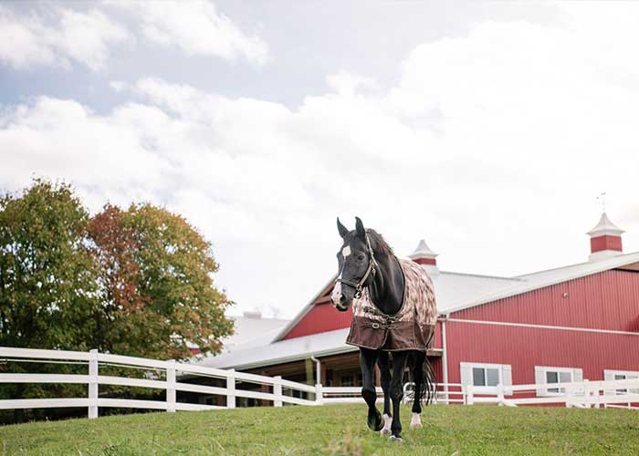 Home Sweet Home Equestrian | 13510 Fifth Line Nassagaweya, Rockwood, ON N0B 2K0, Canada | Phone: (416) 836-9661