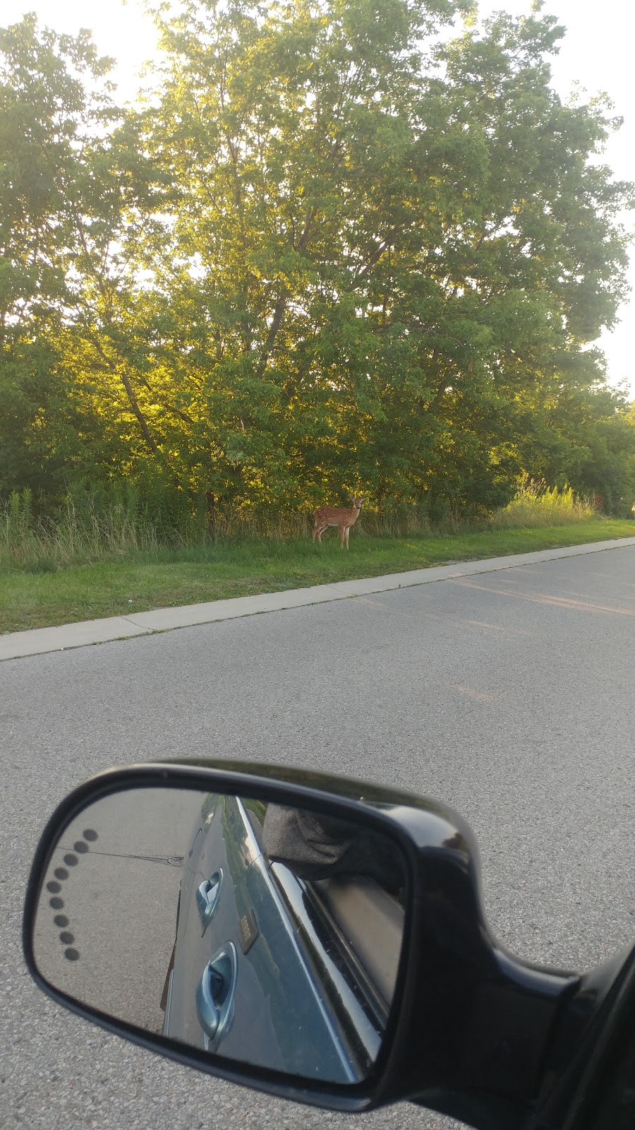 Donegal Park | 70 Donegal Dr, Brantford, ON N3T 6N3, Canada