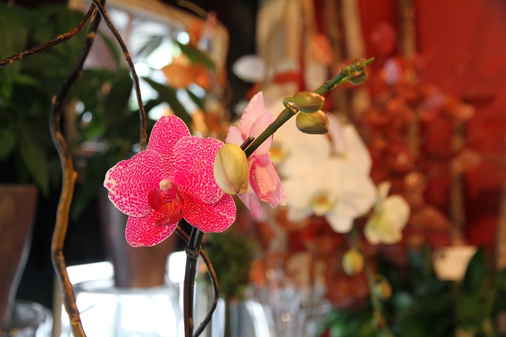 Marlow Floralworks | 2101 4 St SW, Calgary, AB T2S 1W8, Canada | Phone: (403) 228-6335