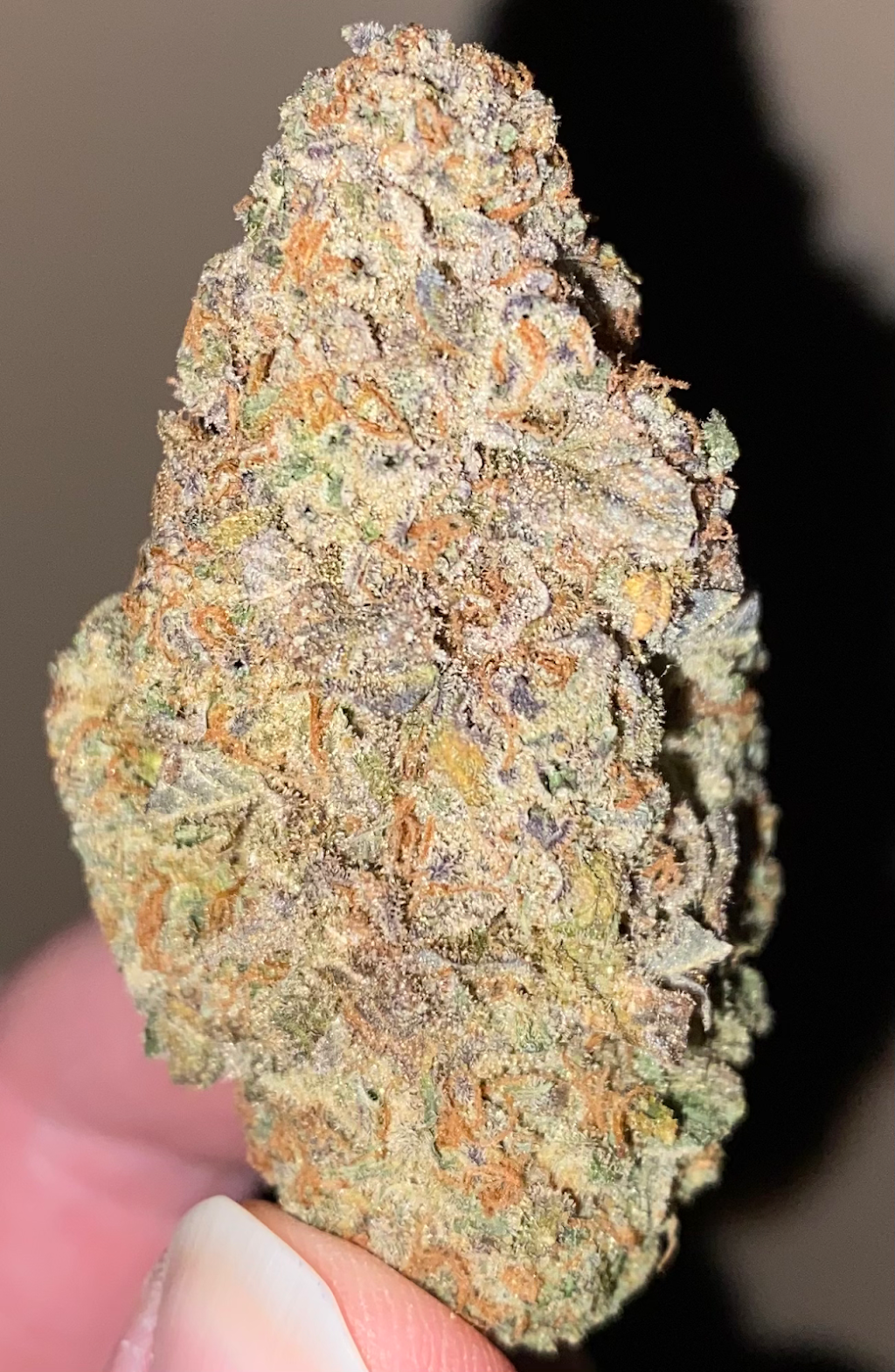 Kozmic Kush | 430 Acadia Dr SE #18, Calgary, AB T2J 0A9, Canada | Phone: (587) 352-2400