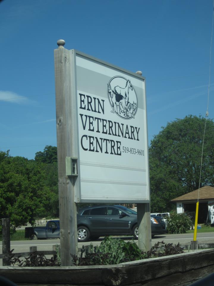 Erin Veterinary Centre | Erin, ON N0B 1T0, Canada | Phone: (519) 833-9601