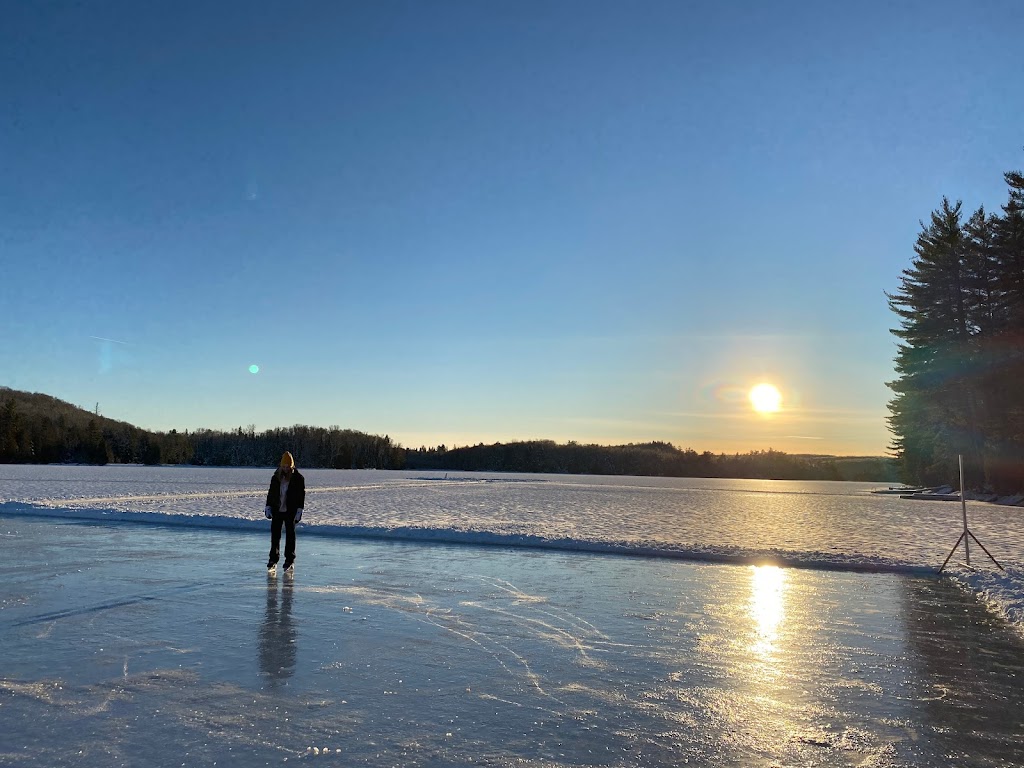 Castaway North Lodge | 1072 Edith Crescent, Gooderham, ON K0M 1R0, Canada | Phone: (905) 315-0844