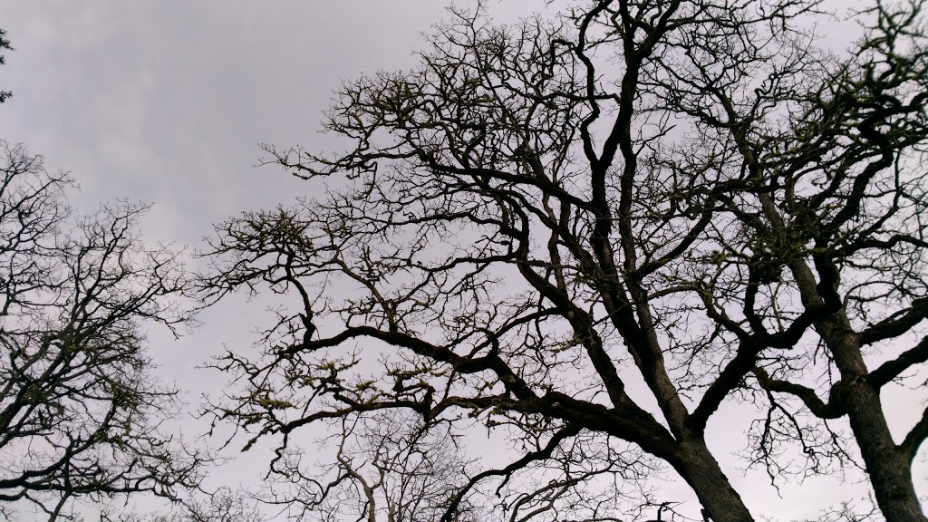 Cowichan Garry Oak Preserve | 1241 Maple Bay Rd, Duncan, BC V9L 5R9, Canada