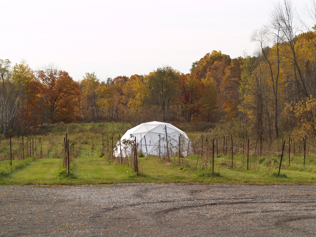 Ridge Berry Farm | 398 Canboro Rd, Ridgeville, ON L0S 1M0, Canada | Phone: (289) 897-8943