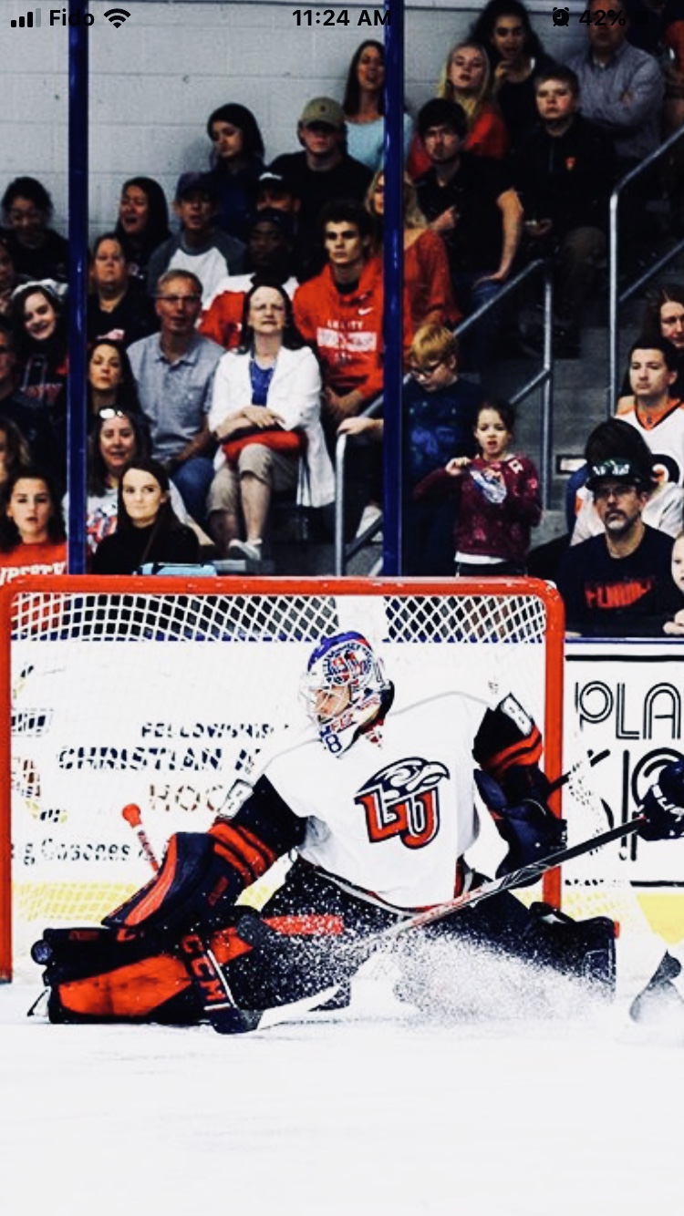 Big Game Goaltending | 74 A Avenue Coolbreeze, Pointe-Claire, QC H9R 3S5, Canada | Phone: (514) 806-1966