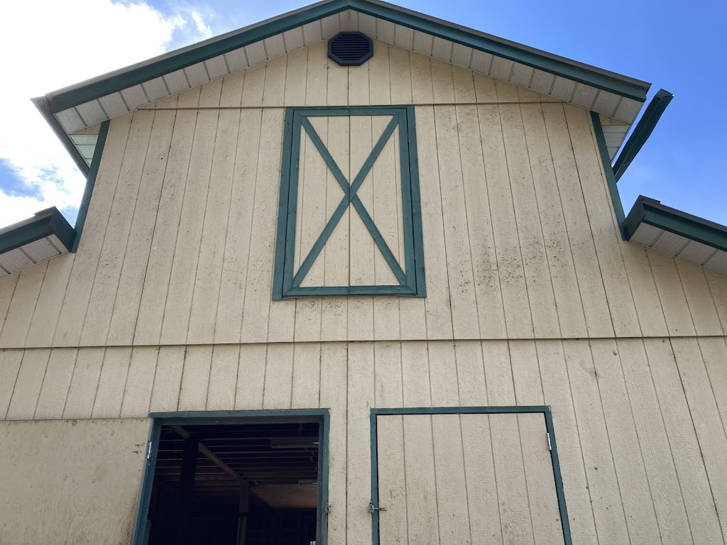 Casey and Finnigans | 5061 Grouhel Rd, Ladysmith, BC V9G 1J5, Canada | Phone: (250) 857-3584