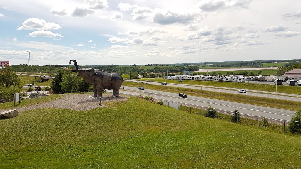 Mastadon Ridge | Stewiacke, NS B0N 2J0, Canada
