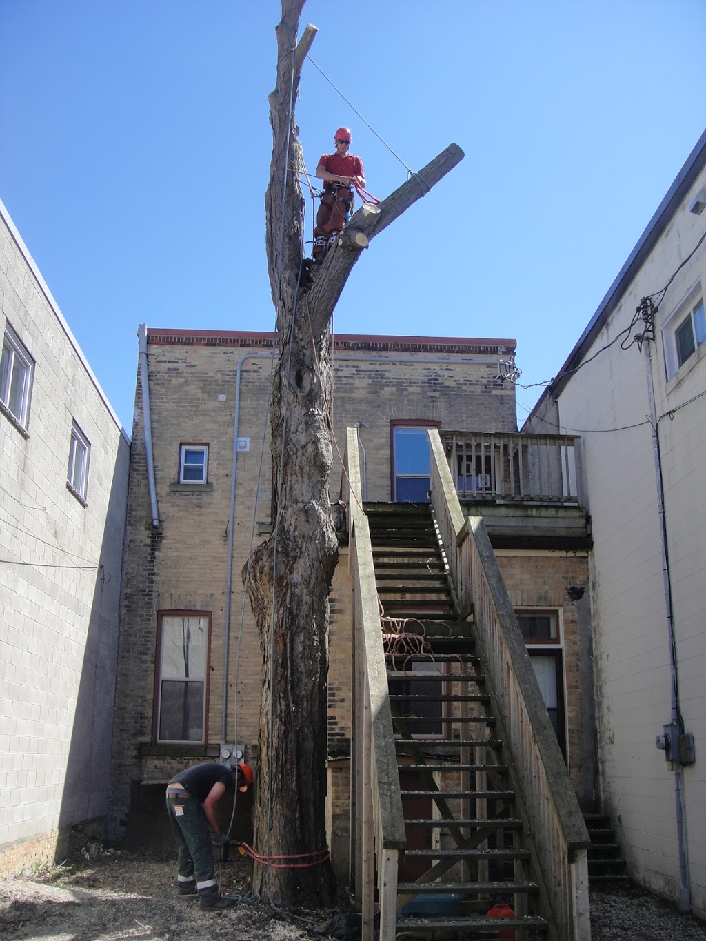 Saugeen Tree Care | 296 Concession Rd 6 E, Mildmay, ON N0G 2J0, Canada | Phone: (519) 901-3208