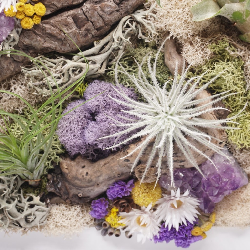 Plant Babies Terrariums | 7905 Rue Tellier, Montréal, QC H1L 6N9, Canada | Phone: (514) 561-7508