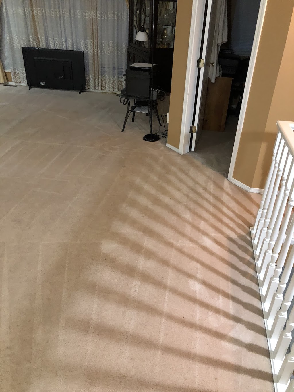 Raman carpet cleaning | 1451 El Camino Dr, Coquitlam, BC V3E 3C1, Canada | Phone: (604) 600-6650