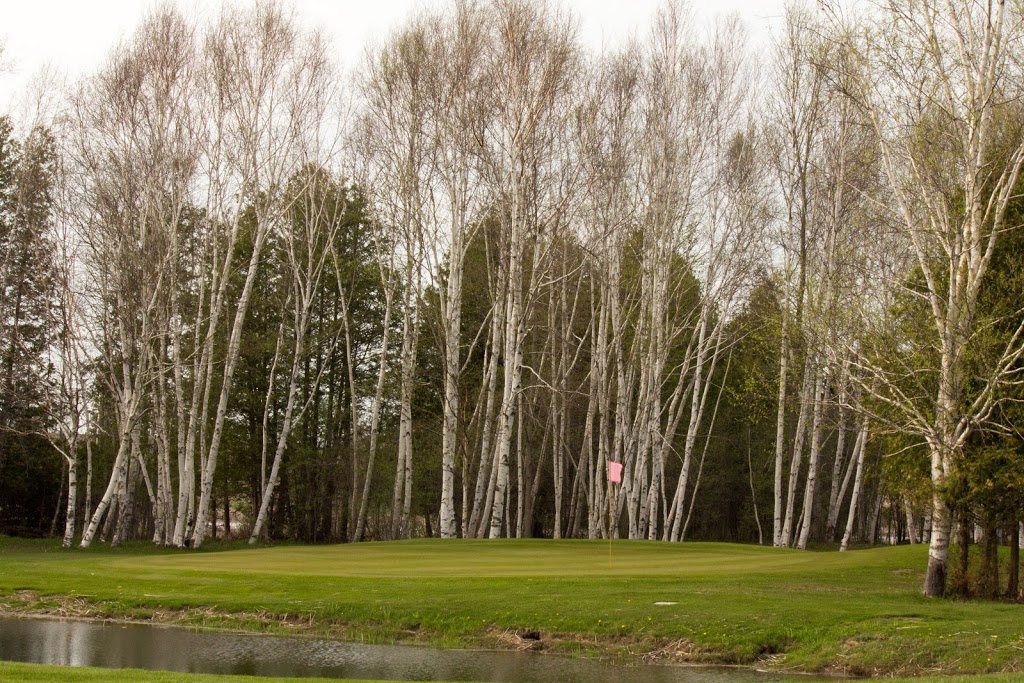 Deer Run Golf Course and Bar & Grill | 10 Brook St, Little Britain, ON K0M 2C0, Canada | Phone: (705) 328-3781