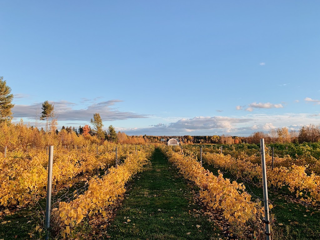 Le Vignoble ComAutrefois | 737 Rang St François, Notre-Dame-de-Lourdes, QC G0S 1T0, Canada | Phone: (819) 460-2696
