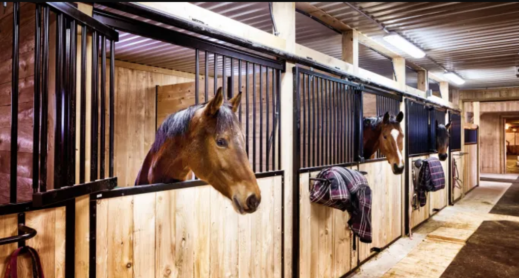 Tani Farms | 2202 Governors Rd, Hamilton, ON L0R 1T0, Canada | Phone: (905) 253-7534