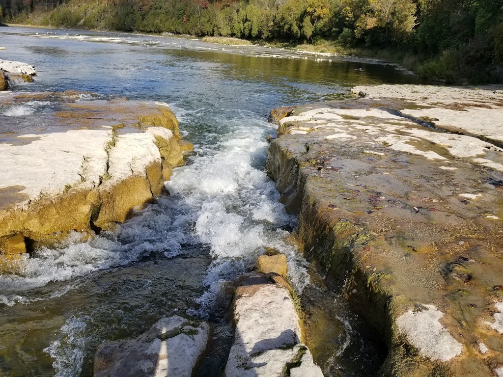 Falls Reserve Conservation Area | 80900 Falls Reserve Line, Goderich, ON N7A 3Y1, Canada | Phone: (519) 524-6429