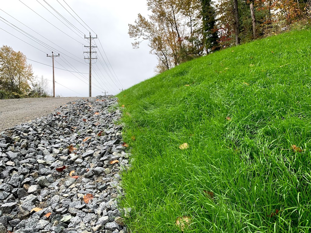 Evergreen Hydroseed & Land Reclamation Ltd. | 810 Quayside Dr #205, New Westminster, BC V3M 6B9, Canada | Phone: (604) 999-7833