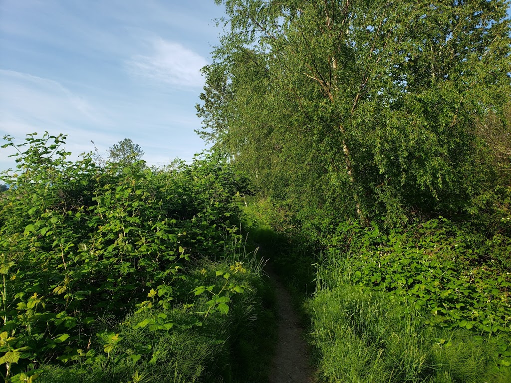 Mcneeleys Trail | 5011 River Rd, Delta, BC V4K 4V9, Canada