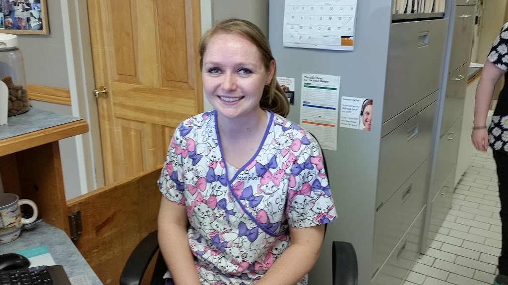 Collins Bay Animal Hospital | 4037 Bath Rd, Kingston, ON K7M 4Y4, Canada | Phone: (613) 384-1010