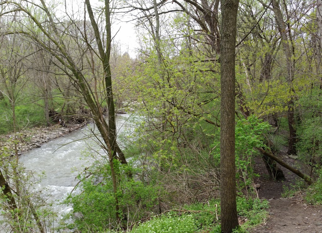 Berry Road Park | 260 Berry Rd, Etobicoke, ON M8Y 1X9, Canada | Phone: (416) 338-4386
