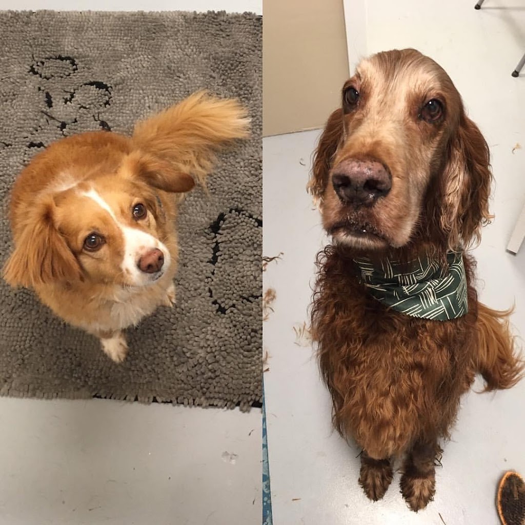 Cedar Dog Grooming | 13576 Adshead Rd, Ladysmith, BC V9G 1H6, Canada | Phone: (604) 698-9572