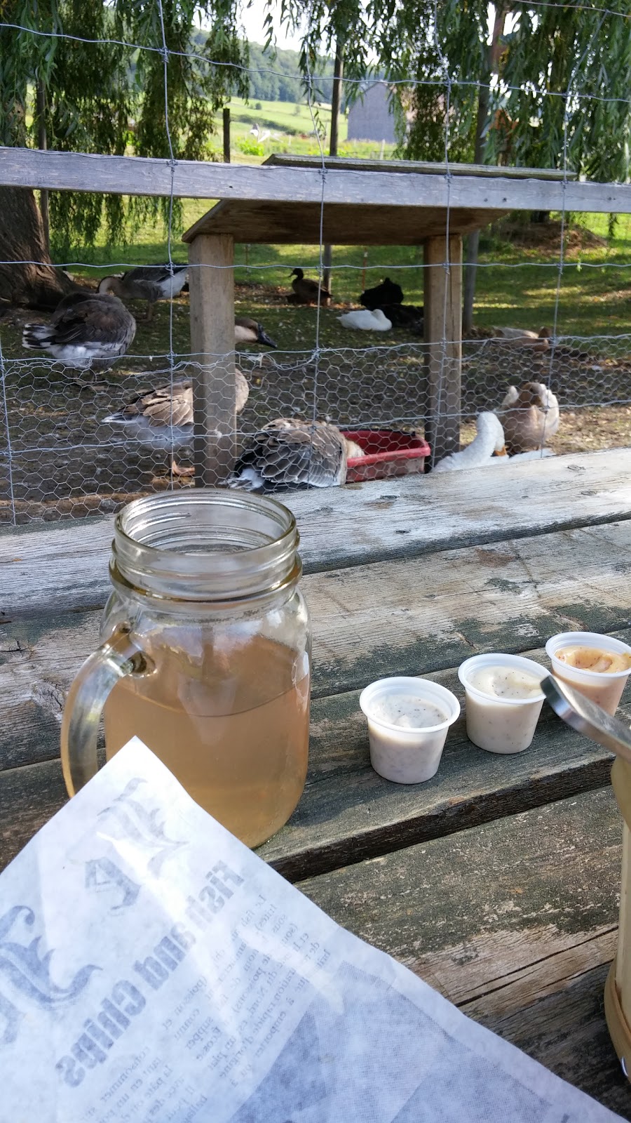 La Ferme dOc | 2875 Chem. Royal, Sainte-Famille, QC G0A 3P0, Canada | Phone: (418) 931-5417