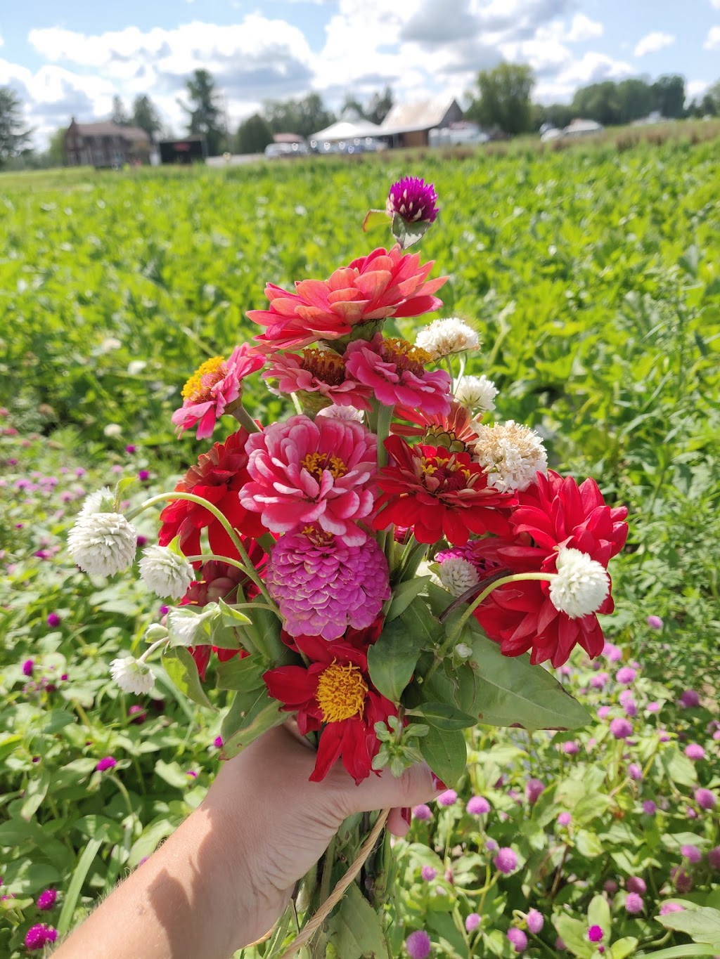 Les Jardins dAbbotsford D.C. | 2355 QC-112, Saint-Paul-dAbbotsford, QC J0E 1A0, Canada | Phone: (450) 379-9744