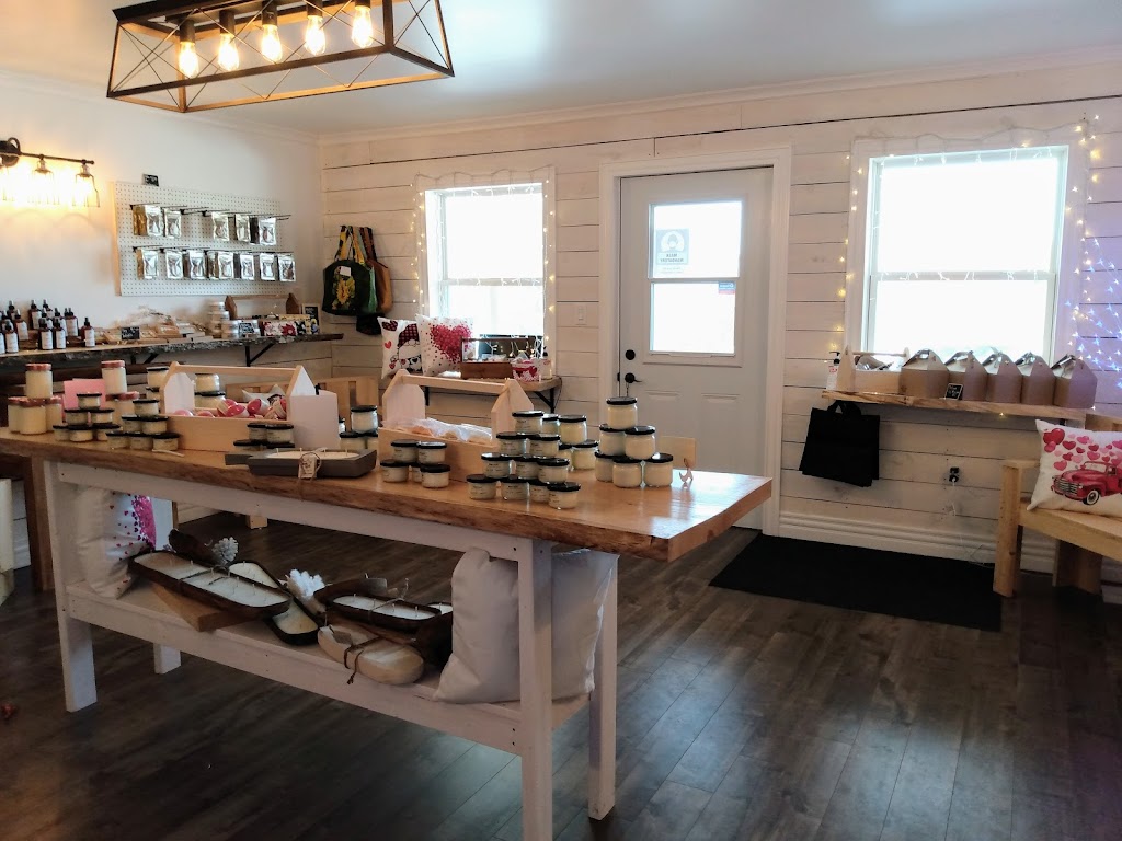 Back to our Roots | 716 Hwy 1, Deep Brook, NS B0S 1J0, Canada | Phone: (902) 245-1210