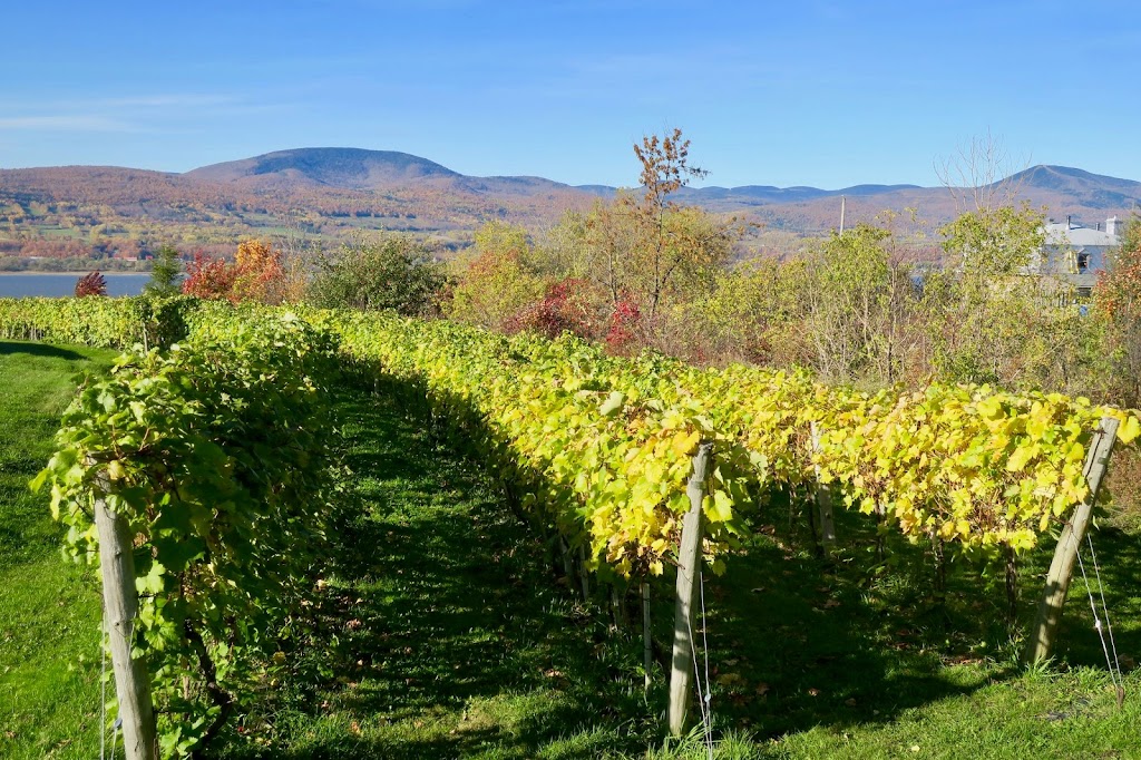 Le Vignoble du Mitan | 2608 Chem. Royal, Sainte-Famille, QC G0A 3P0, Canada | Phone: (418) 829-0901