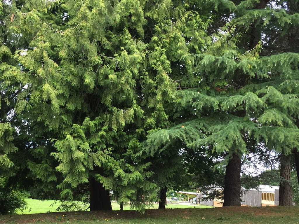Kerrisdale School Annex | 3250 43 AVE W, Vancouver, BC V6N 4K3, Canada | Phone: (604) 713-5488