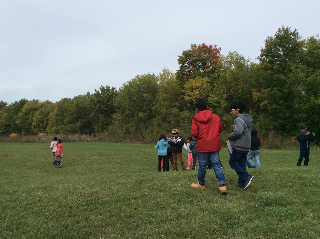 Thornwood Public School | 277 Mississauga Valley Blvd, Mississauga, ON L5A 1Y6, Canada | Phone: (905) 275-4077